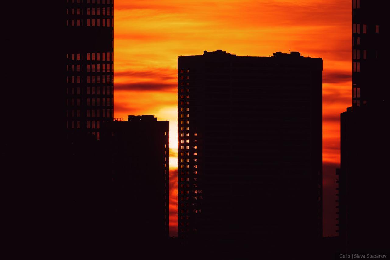 Москва в цвету: где сфотографировать сказку