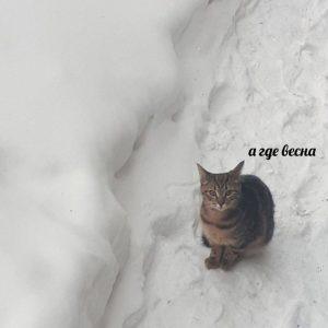 Москвичи, готовьтесь к морозам до -6°C!