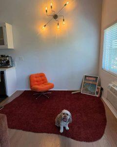 Пейдж Талия украла ковер с Оскара: гламур или насмешки?