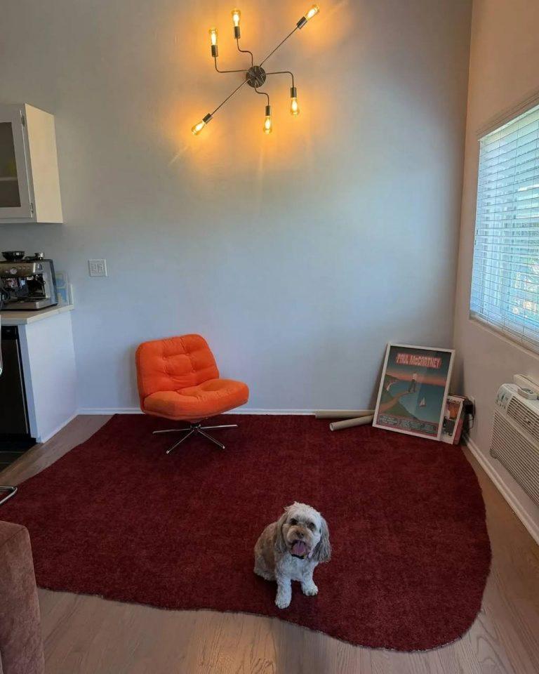 Пейдж Талия украла ковер с Оскара: гламур или насмешки?