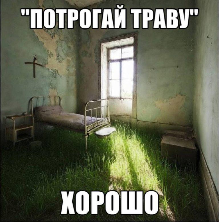 Прогулки на природе снижают стресс — доказано учёными