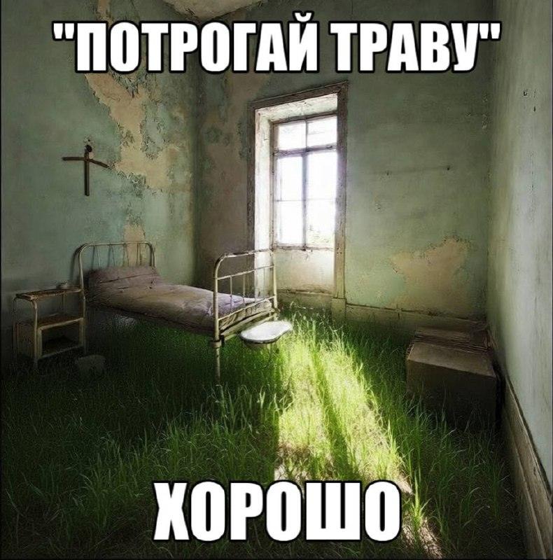 Прогулки на природе снижают стресс — доказано учёными