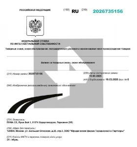 Puma возвращается в Россию: что это значит для рынка?