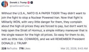 Разногласия в НАТО: Трамп обвиняет союзников в слабости