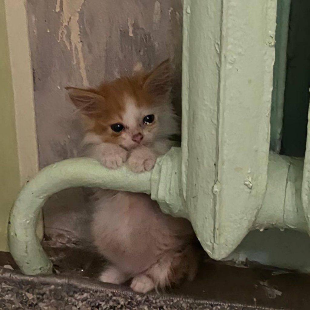 Рекордное выгорание россиян: кризис кадров на пределе