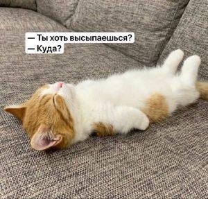 Рекордное выгорание россиян: кризис кадров на пределе