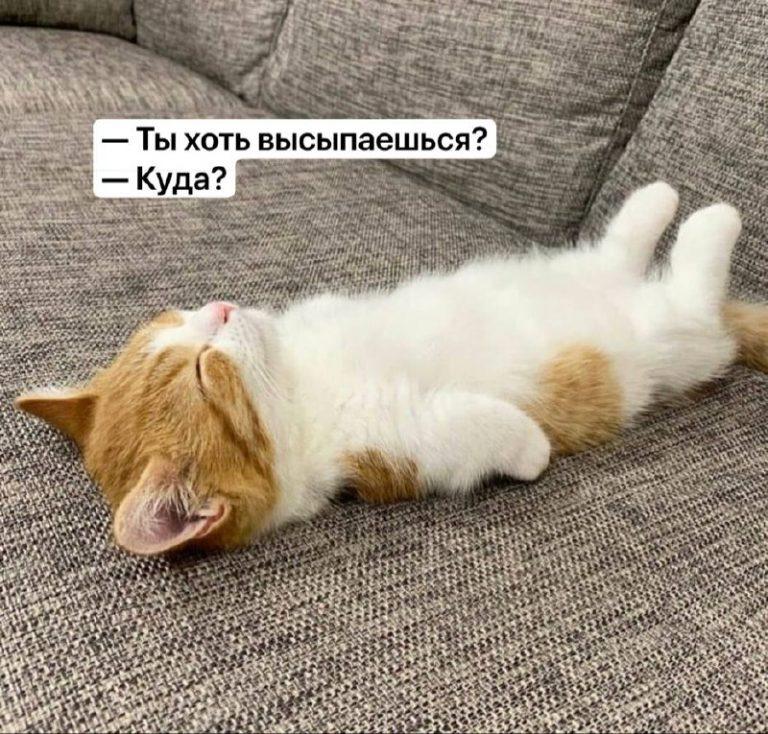 Рекордное выгорание россиян: кризис кадров на пределе