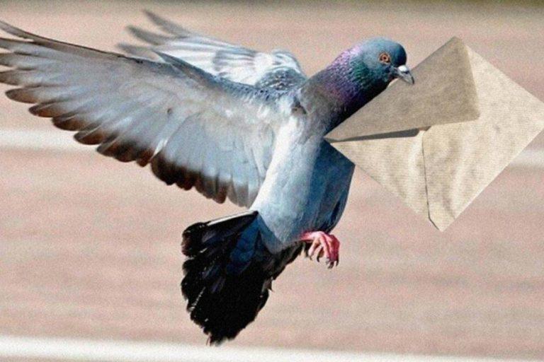 Россияне спасаются от кризиса старой доброй электронной почтой