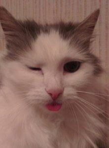 Рожденные 7, 16 и 25 числа обладают особым шармом