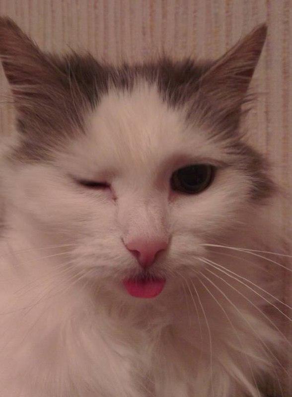 Рожденные 7, 16 и 25 числа обладают особым шармом