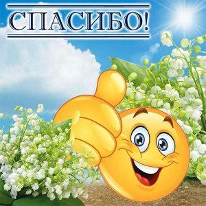 Штрафы за отсутствие ОСАГО: камеры теперь на страже