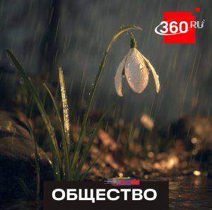 Штрафы за сбор подснежников: до 4 лет тюрьмы!