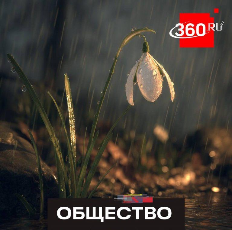 Штрафы за сбор подснежников: до 4 лет тюрьмы!