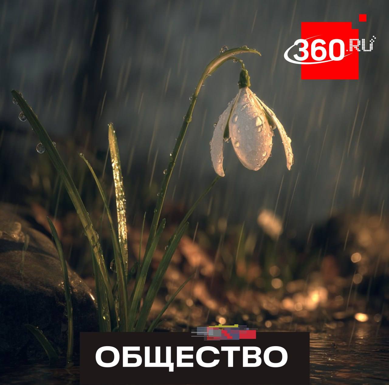 Штрафы за сбор подснежников: до 4 лет тюрьмы!