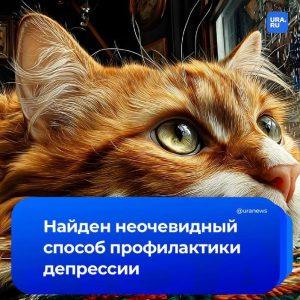 Сильные мышцы защищают от депрессии – открытие учёных