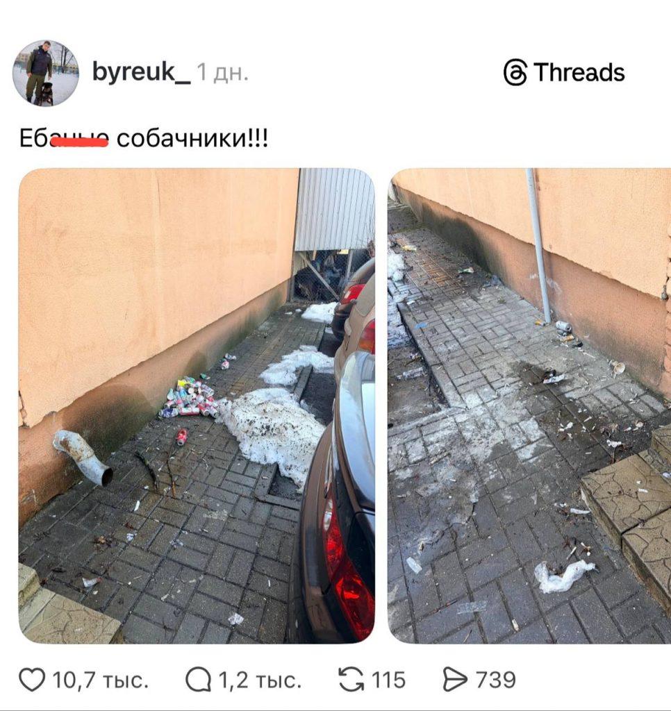 Собачников обвинили в мусоре: битва в комментариях