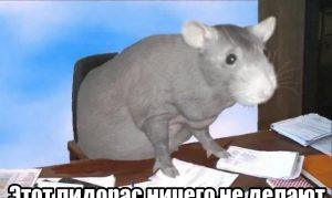 Сотрудница подставила себя, записав коллегу на диктофон