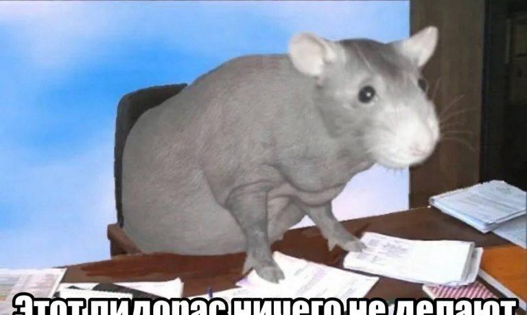 Сотрудница подставила себя, записав коллегу на диктофон