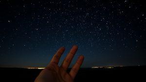 SpaceX Starlink: более 10 000 спутников на орбите