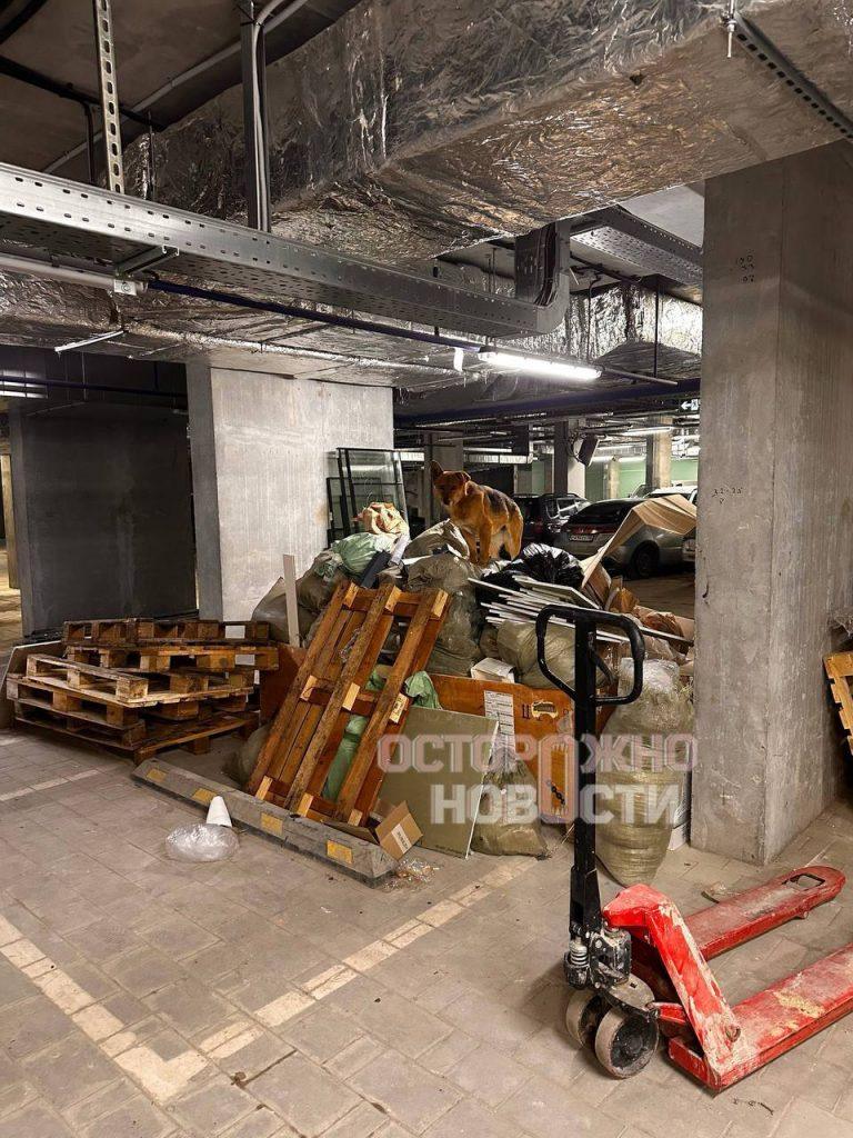 Стаи собак из питомника «Дора» терроризируют Воронеж