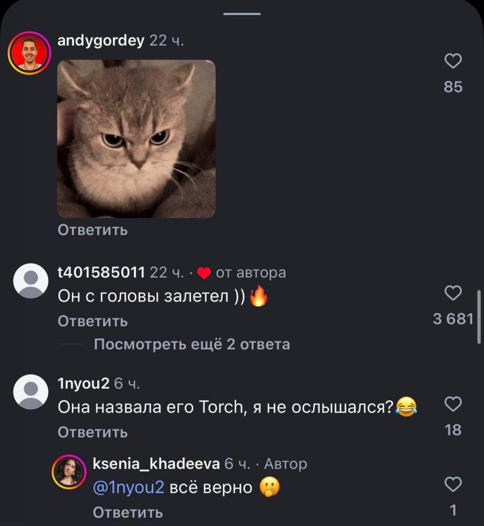 Торч: пушистый убийца с молниеносным ударом