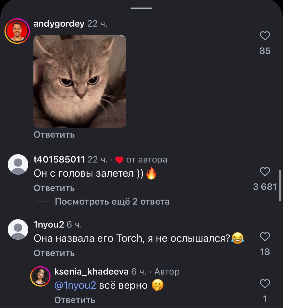 Торч: пушистый убийца с молниеносным ударом