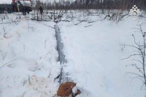 Трагедия при заготовке дров: погиб мужчина