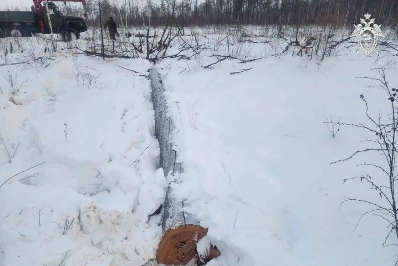 Трагедия при заготовке дров: погиб мужчина