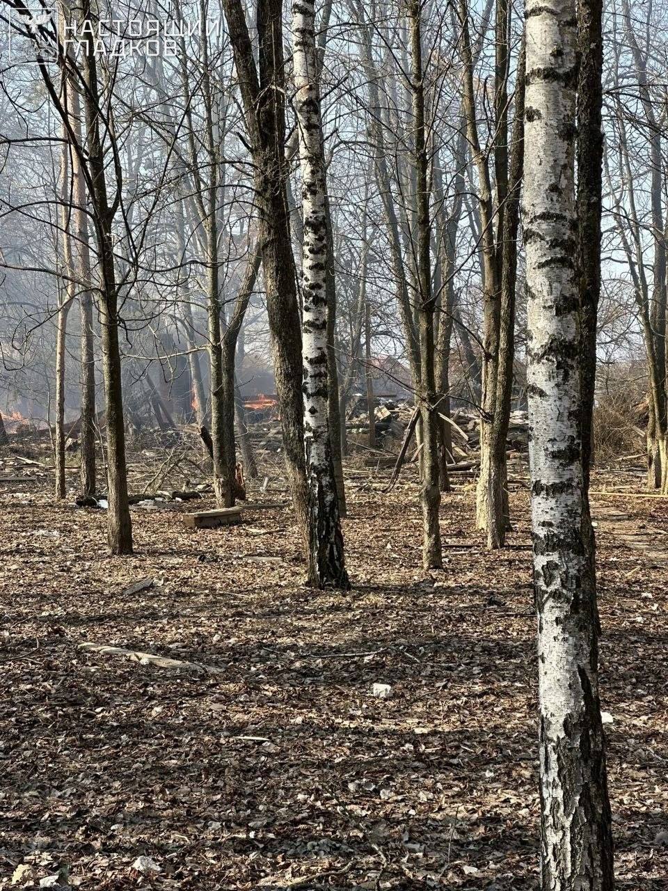 Трагедия в Белгородской области: четыре женщины погибли