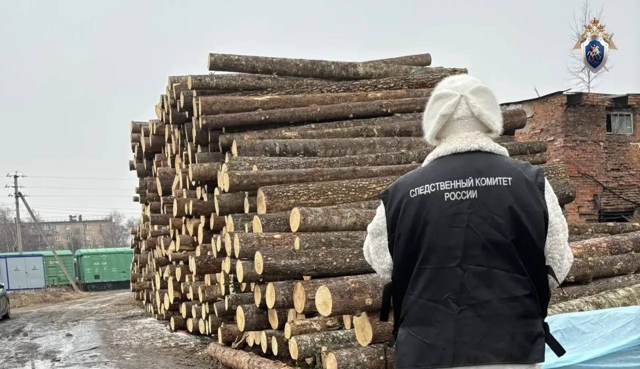 Трагедия в Приморье: ребёнок погиб под грудой брёвен