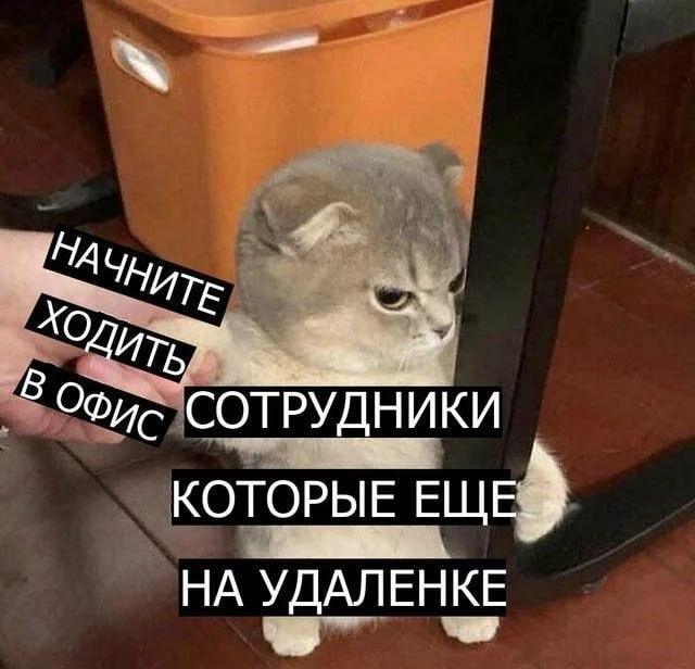 Удалёнщики рискуют остаться без работы из-за интернета