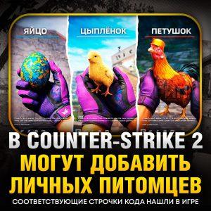 В Counter-Strike 2 добавят питомцев: что известно?