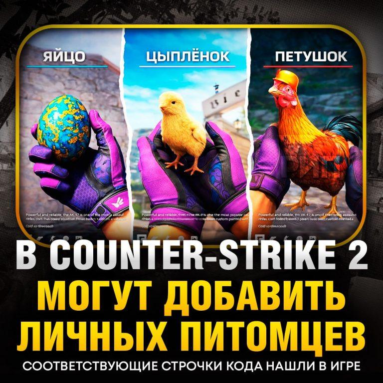 В Counter-Strike 2 добавят питомцев: что известно?