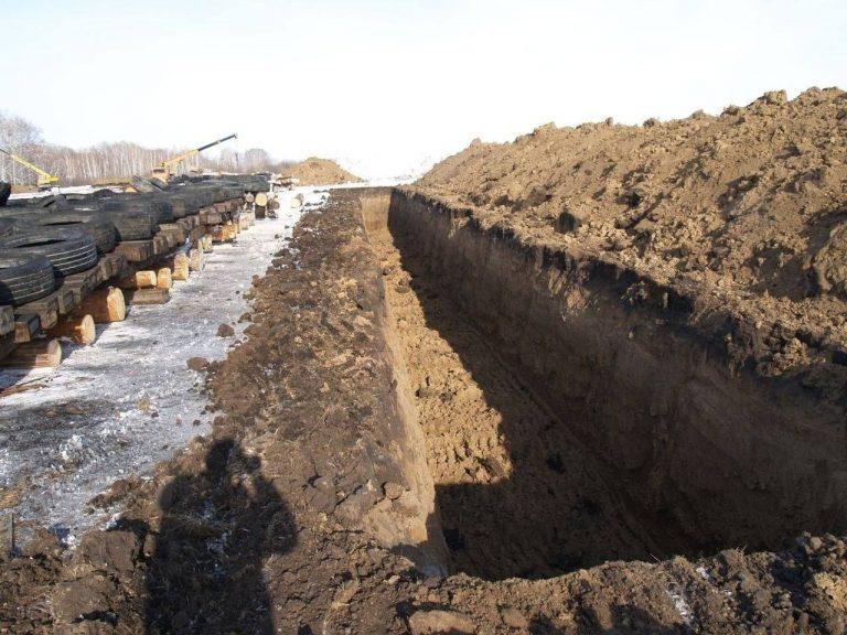 В Новосибирской области массово забирают скот у фермеров