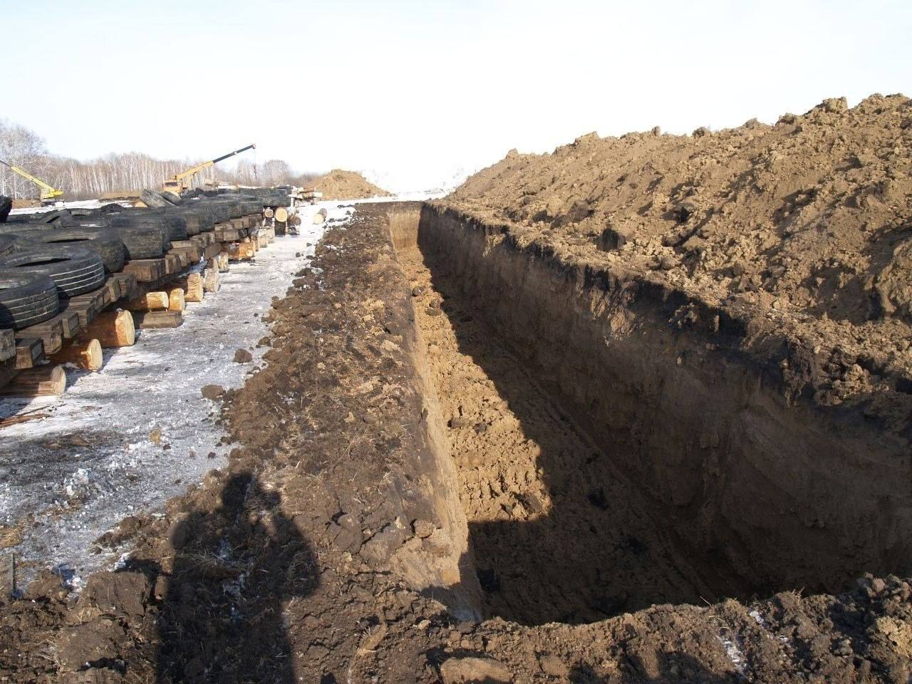 В Новосибирской области массово забирают скот у фермеров