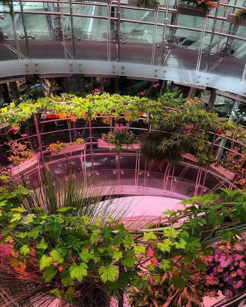 Весеннее цветение в парке Зарядье: 300+ видов растений