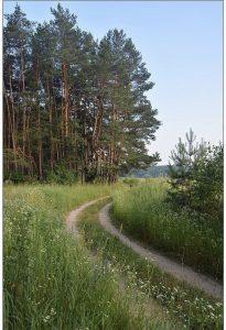 Весеннее равноденствие: дни станут длиннее, тепло ближе