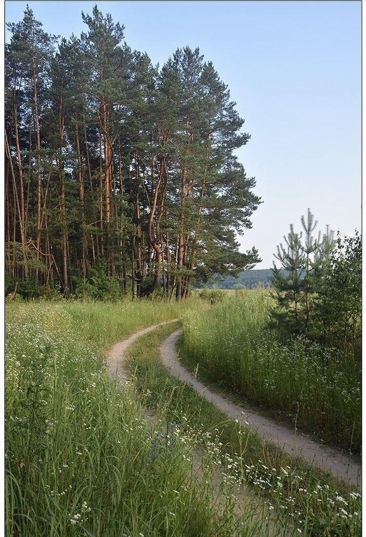 Весеннее равноденствие: дни станут длиннее, тепло ближе