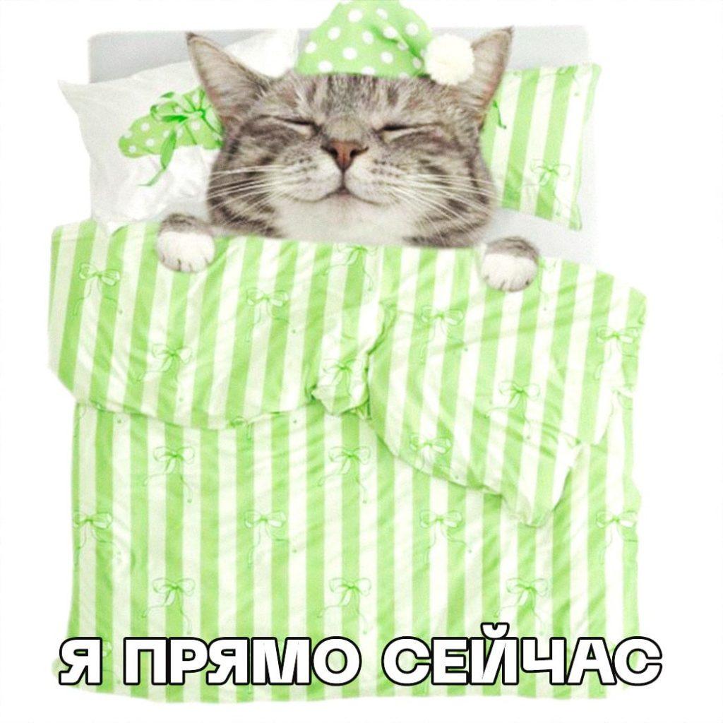 Всемирный день сна: валяйтесь в кровати сколько угодно!