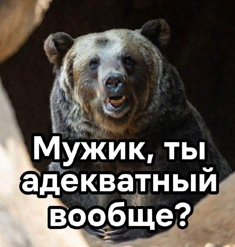 Японец спас спутницу от медведя в горах — невероятная история!