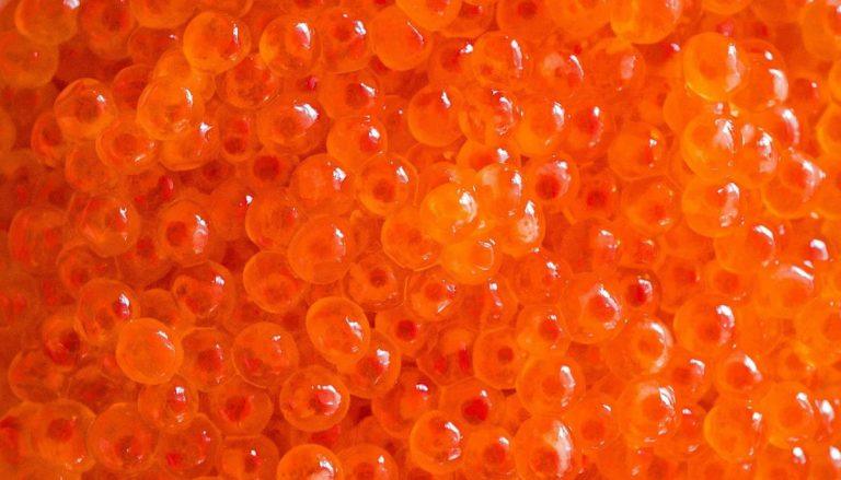 Красная икра дорожает: почему деликатес бьет рекорды цены 🐟📈 — почему подорожала красная икра 2024