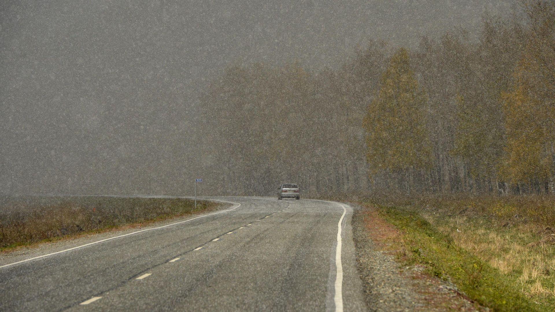Алтай, Осетия и Сахалин вырвались в эко-топ России 🌲⚡ — самые зеленые регионы россии рейтинг аси