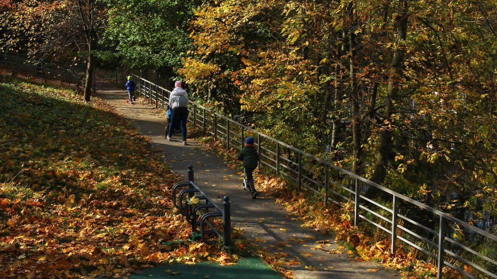 Заморозки до 0°C ударили по Москве и Подмосковью 🥶🍂 — погода в москве сегодня