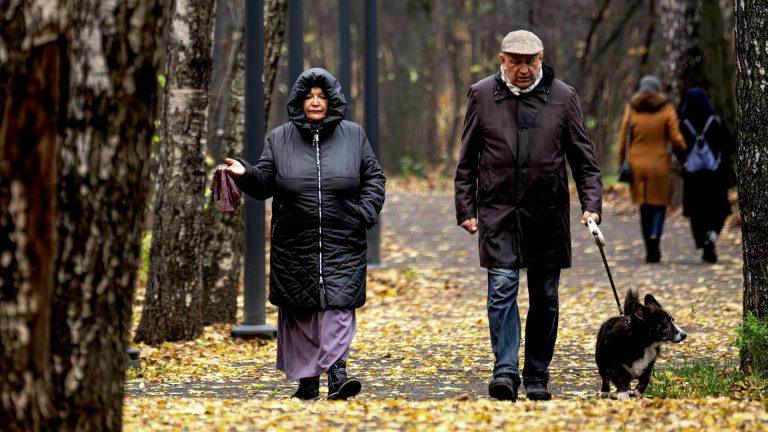 Погода в Москве на выходные готовит шторм с ветром до 17 м/с 🌧️💨 — штормовое предупреждение москва