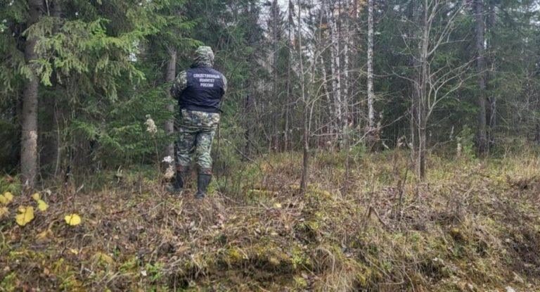 Медведь загрыз мужчину в Архангельской области 🐻🌲 — происшествия в архангельской области