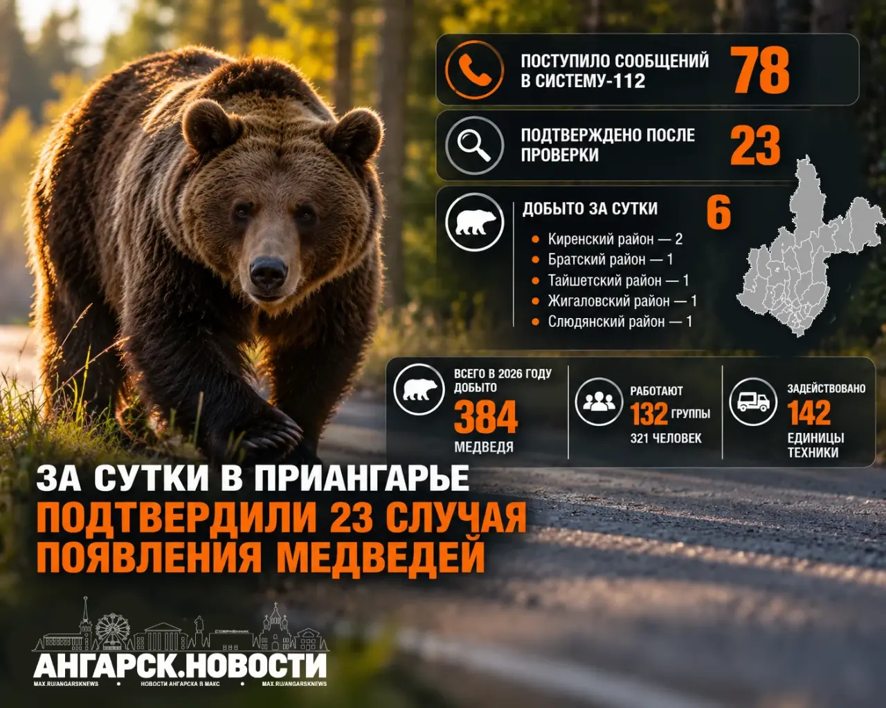 Шесть медведей за сутки: Приангарье держит оборону тайги 🐻🌲 — медведи в иркутской области новости