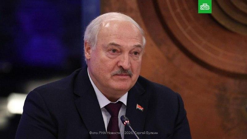 Лукашенко поблагодарил за забор на границе 🚧👀 — граница белоруссии и польши