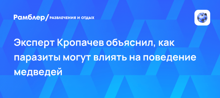 Миф разрушен: паразиты не делают медведей агрессивными 🐻🔬 — паразиты делают медведей агрессивными