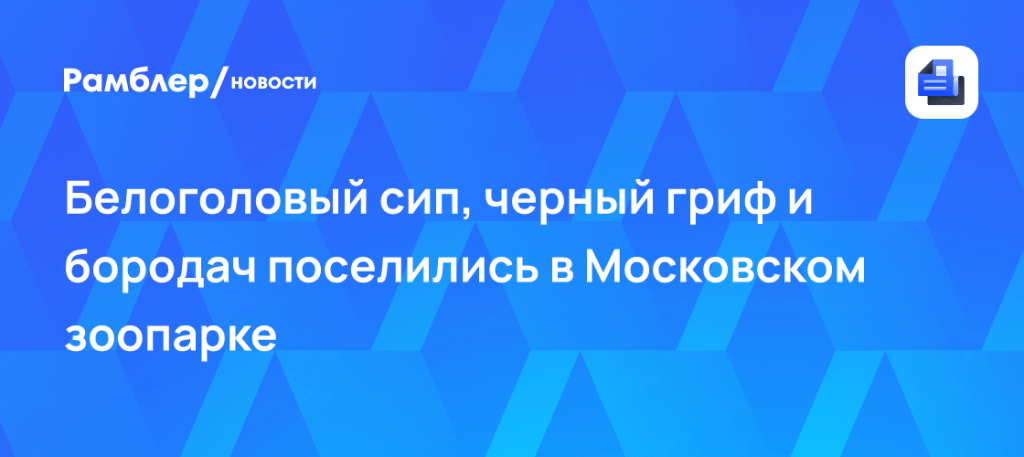 Московский зоопарк: новые животные и редкие хищники 🦅⚡ — московский зоопарк новые животные