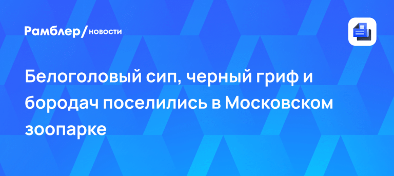 Московский зоопарк: новые животные и редкие хищники 🦅⚡ — московский зоопарк новые животные